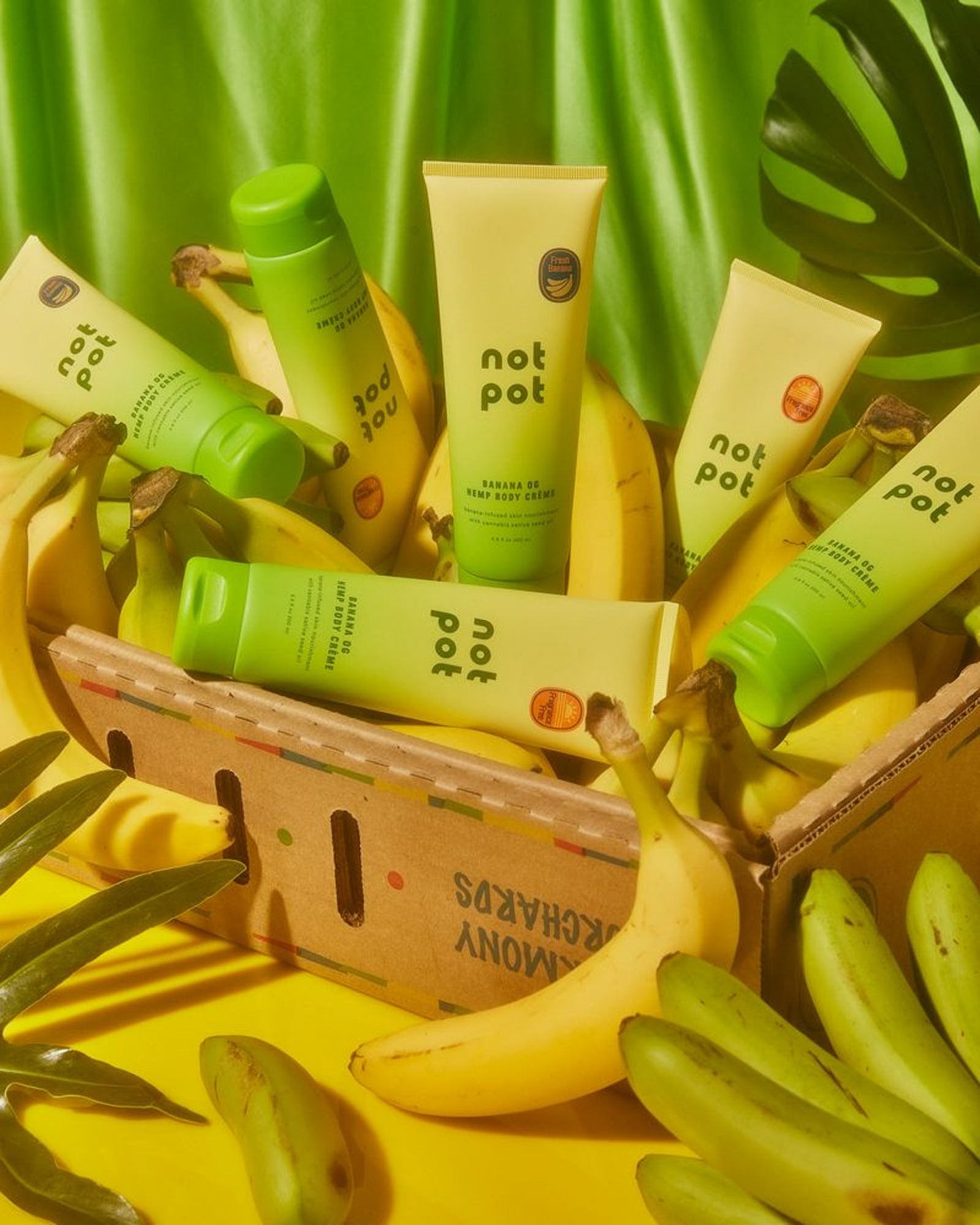 CRÈME CORPS BANANE CBD