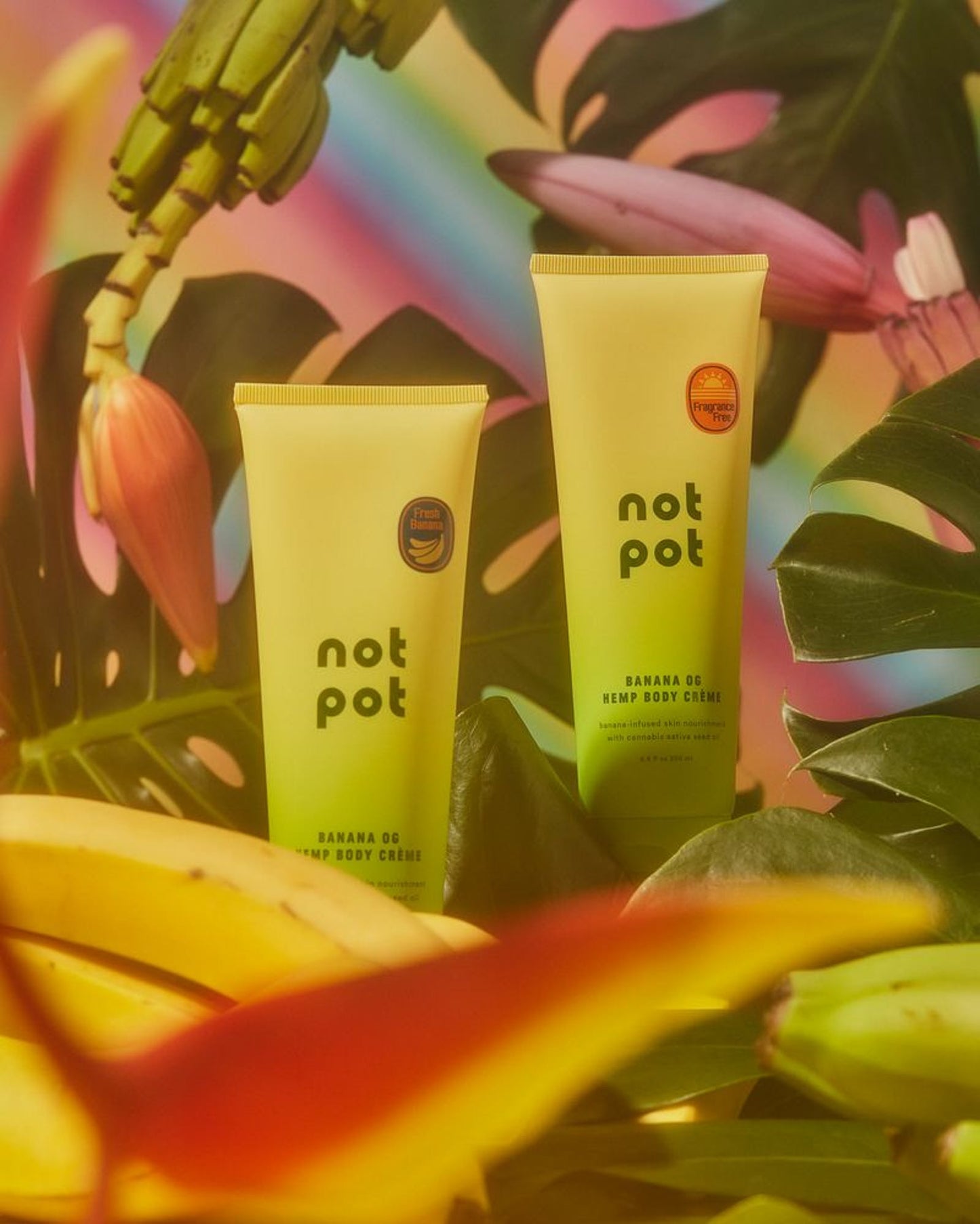 CRÈME CORPS BANANE CBD